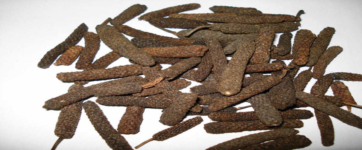 LONG PEPPER : A part of Indian Garam Masala